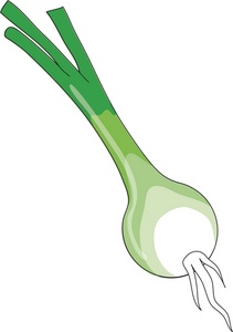 acclaim clipart: fresh grown garden vegetable  shallot