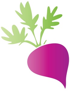 acclaim clipart: simple cartoon drawing of a purple beet fresh from the produce section or the garden