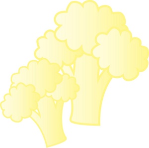 acclaim clipart: two heads of cauliflower